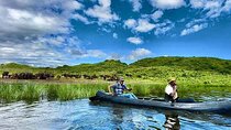 Day Trip Arusha National Park Optional Canoe and Walking Safaris