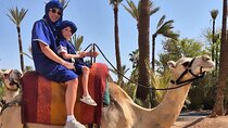 Dromedary at the Palmeraie of Marrakech