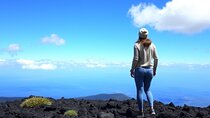 Hilo and Volcano National Park Tour for Cruise Passengers at port