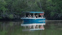 Tamarindo Estuary Boat Tour