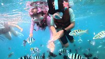 Snorkeling Blue Lagoon and Tanjung Jepun All Inclusive