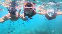 Snorkeling Blue Lagoon and Tanjung Jepun All Inclusive