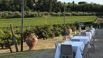 From Florence The Immersive Tuscan Winery Experience