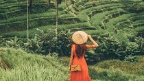 Bali Benoa Shore Excursion from Benoa Port - All Inclusive