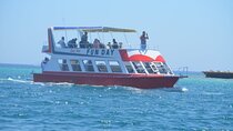 Glass Boat Sea Trip For One Hour With Transfer - Sharm El Sheikh