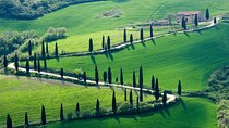 Private Transfer Rome to Florence with a stop to visit Siena