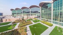 Private Transfer from Amman Airport to Aqaba