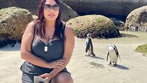 Cape of Good Hope & Penguins Small Group Guided Tour