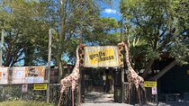 Cape Town: Cheetah Experience and Giraffe Visit with Wine Tasting