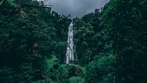 Materuni Falls, Coffee and Hot Springs Day Trip