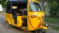 Delhi Tour By Tuk Tuk