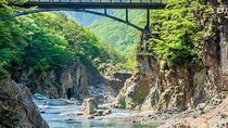 From Tokyo: Nikko Sightseeing Customized Private Tour