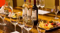 Wine Tasting at Encuentro Nativo a Historic Tenement in Caminito