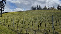 The San Francisco Tour Co. Sommelier Guided Wine Tours
