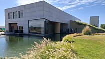 Tour Bodega y Olivícola con Almuerzo en Maipú