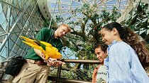 The Green Planet Dubai Tickets and Tropical Forest Adventure