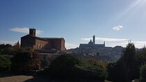 Private transfer Florence Peretola Airport from or to Siena City 