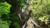 Waterfall and Monkeys from Jaco