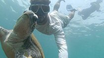 Visiting and Snorkeling in Daymaniyat Islands 