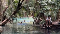 Hot Springs and Maasai Village Day Adventure