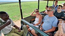 Full day Safari with BBQ Lunch in Addo Elephant National Park.