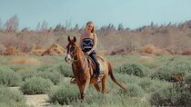 Horse Riding Two hours At Amazing Desert with transfer - Marsa Alam
