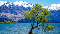 Wanaka Private Day Trip from Queenstown: TravelnGo