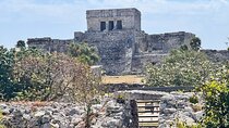Tulum Cenotes Tour Experience