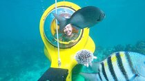 Scuba-Doo Scooter in Punta Cana 