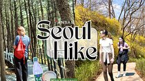 Ansan Jarak-gil Trail and Makgeolli Seoul Hike Experience