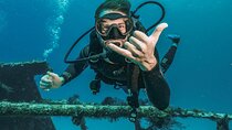 Coral Garden Amazing Sea Trip & 2 dive With Transfer - Marsa Alam
