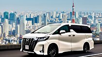 Tokyo 5-Hour Private Day Trip with Airport Pickup or Drop-off
