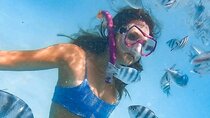 Zanzibar Jozani Forest, Kuza Cave and Blue Lagoon with Starfishes