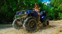 ATV Jungle with Ziplines, Cenote, Transportation & Insurance 