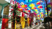 Puerto Plata City Tour Amber Cove Taino Bay Hotels 