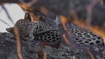 4 Days Group Camping Safari
