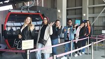 Half orDay Private Tour For Cruise Incheon & N Seoul Tower & city