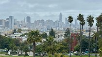 The San Francisco Tour Co. Luxury Private Eco City Tour