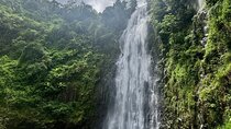 Materuni Waterfalls and Hot Springs Private Tour