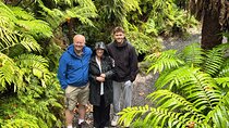 Full-Day Auckland Discovery