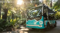 The Explorer - Melbourne Gardens