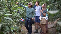 Sloth & Wildlife Nature Walk