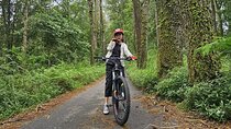 Eco Adventure Bali: Explore Kintamani, Penglipuran & Tirta Empul