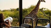4 Day Kruger Glamping Safari and Panorama Tour