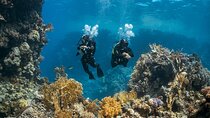  Scuba Adventure (Double Tank) – Reefs, Wrecks & Caves of Paros