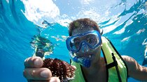 Mauna Kea 3hr Two Stop Sealife Snorkel Adventure