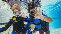 Discover Scuba Diving - Explore the Sea 