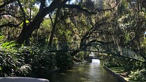 1 Hour Scenic Pontoon Day Cruise