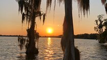 Pontoon Lake Tours 