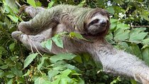 Manuel Antonio National Park : Guided Tour with ADMISSION INCLUDED